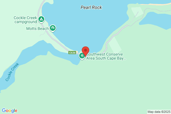 Cockle Creek Brassierie