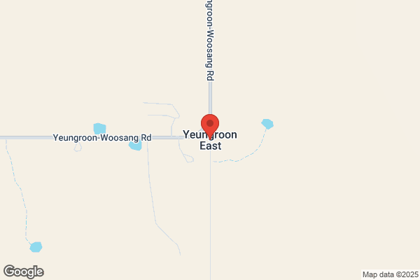 Teys Australia Charlton Feedlot