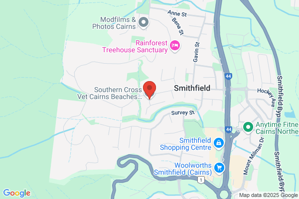 Southern Cross Vet Cairns Northern Beaches - Smithfield