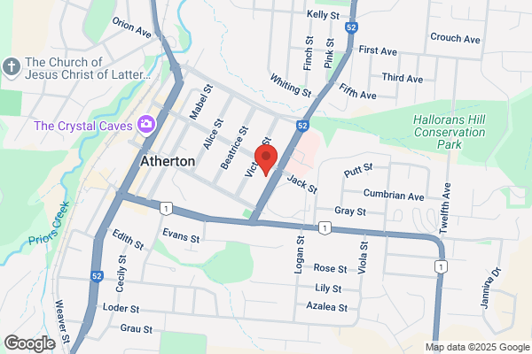bloom hearing specialists Atherton